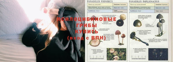 каннабис Абаза