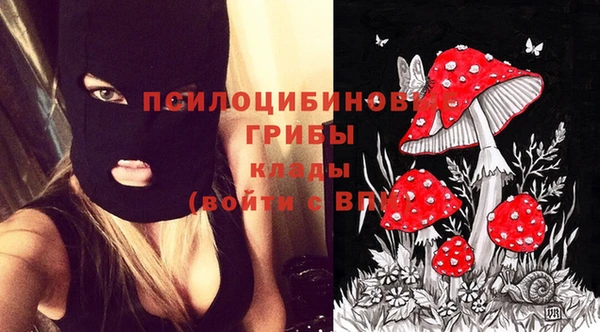 героин Алексин