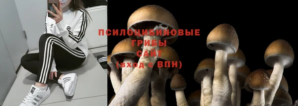 гидропоника Алексеевка