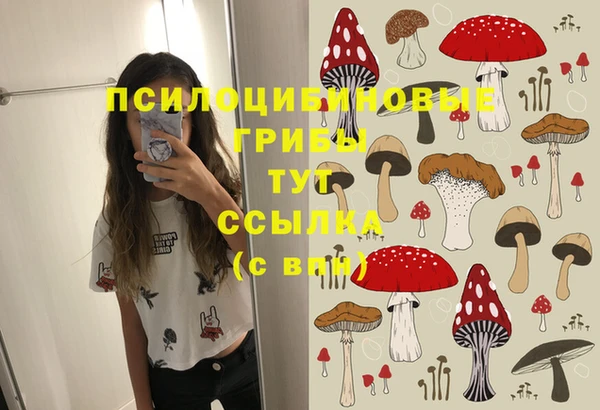 гидропоника Алексеевка