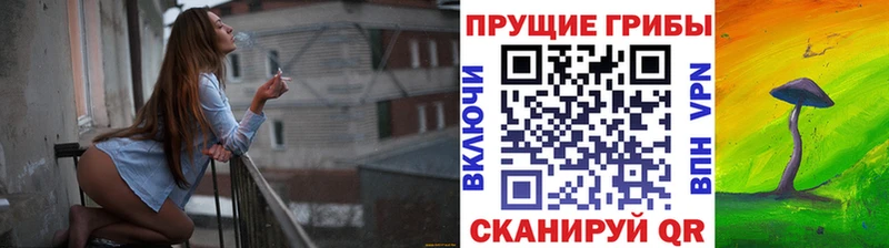 Галлюциногенные грибы Cubensis Елизаветинская